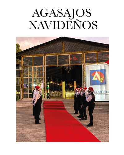 Servicio Humadi