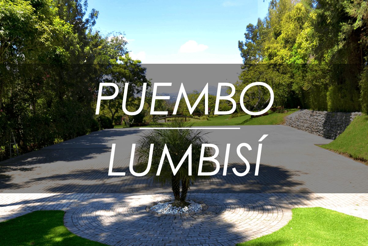 QUINTAS EN PUEMBO