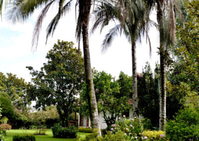 RINCON REAL